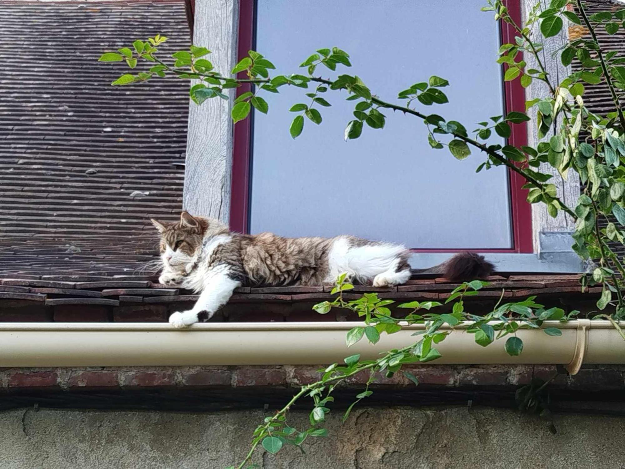 Gite Des Fours アゴンジュ エクステリア 写真